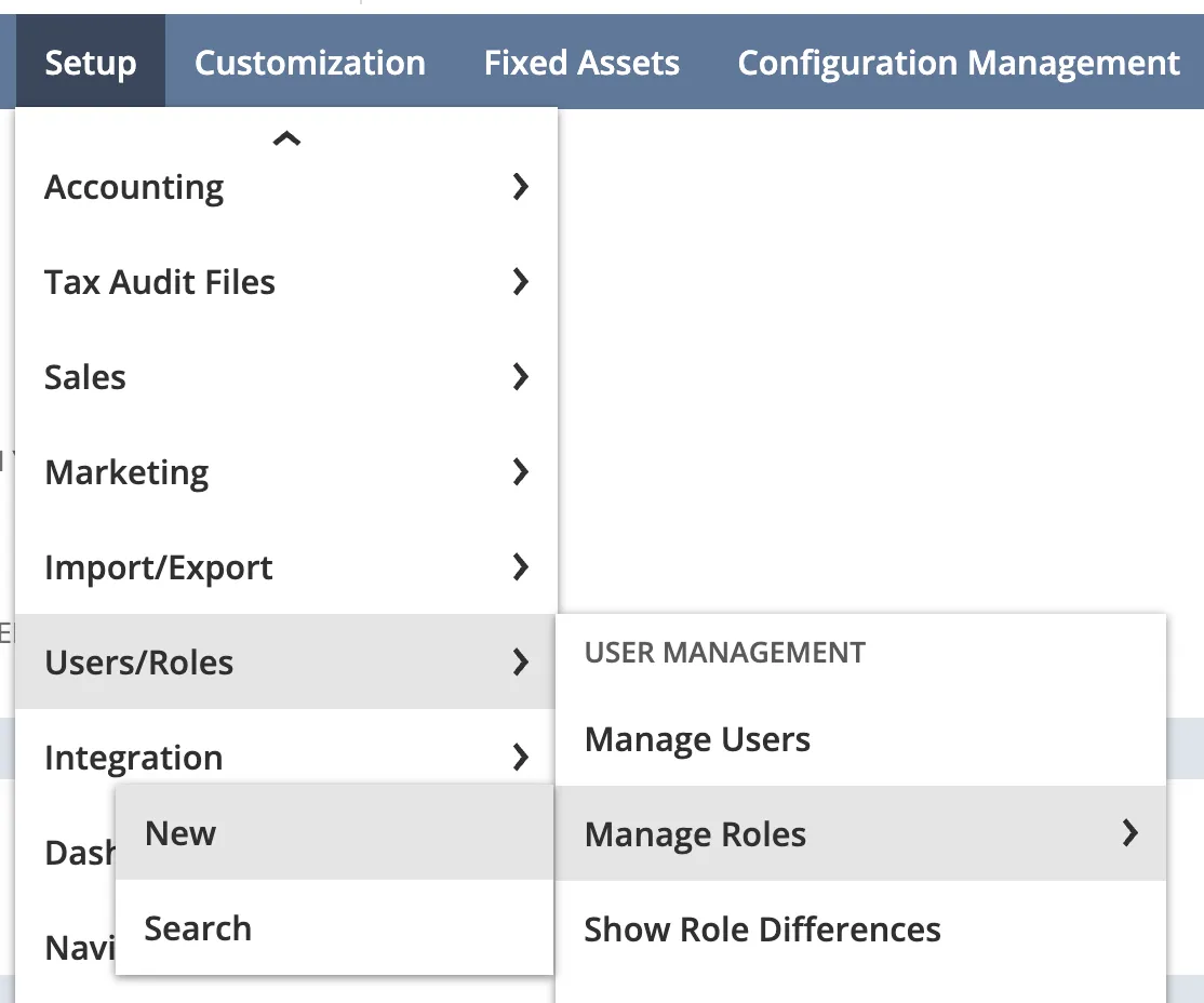 Creating a new role under Manage Roles in NetSuite.