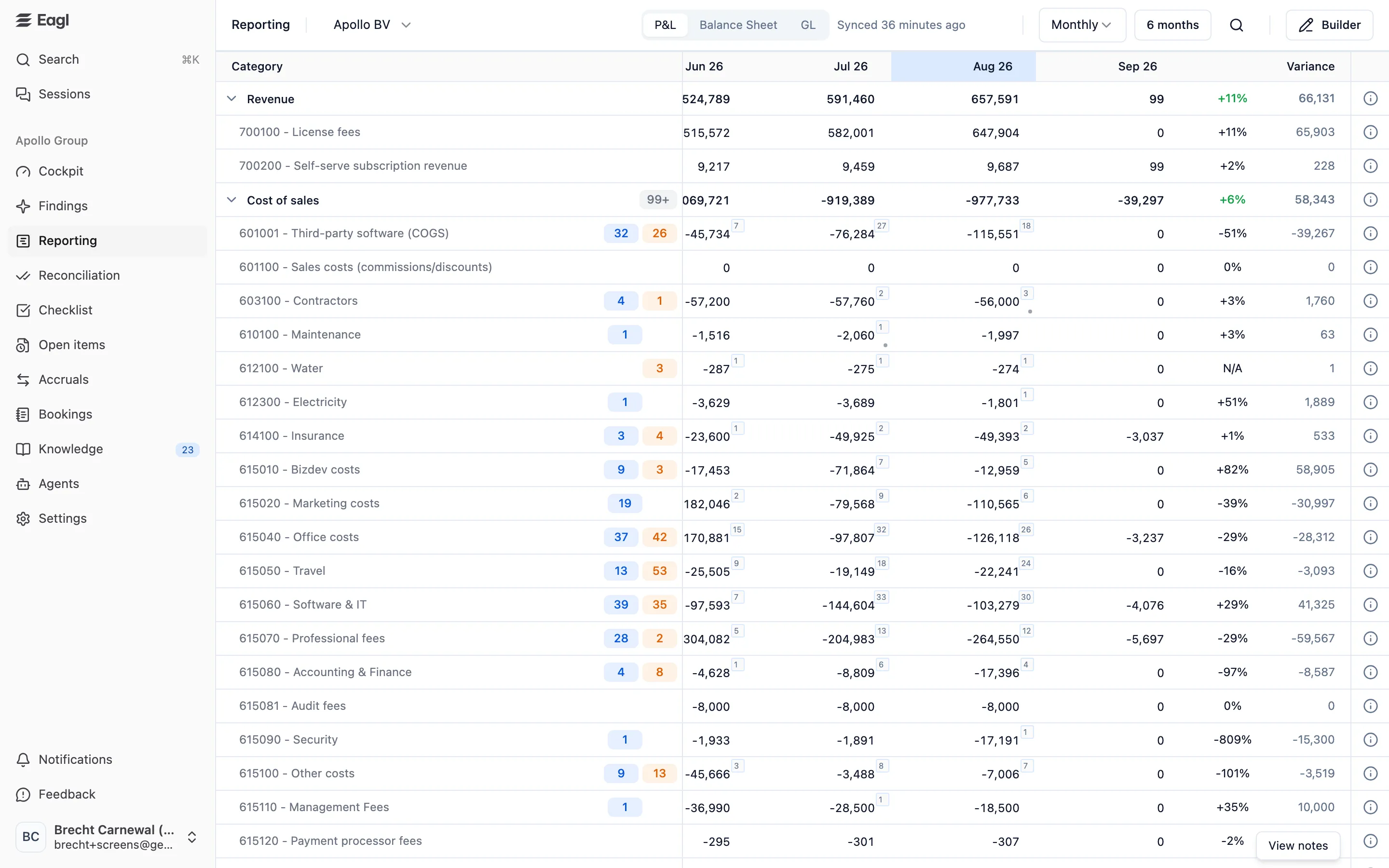 An Eagl P&L with monthly columns, a variance column, and finding badges next to GL accounts.